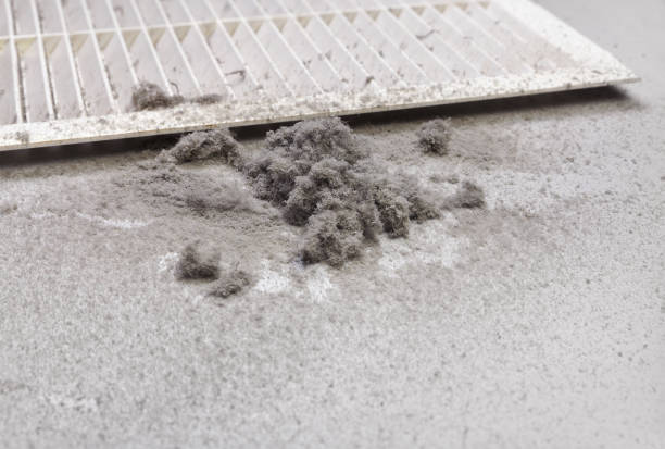 Best Home Air Vent Cleaning  in Margate City, NJ