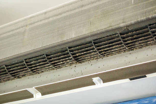 Best Air Duct Cleaning Near Me  in Margate City, NJ